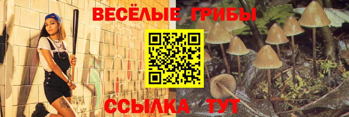 Псилоцибиновые грибы Psilocybine cubensis  Вход с VPN  купить закладку  Якутск 